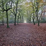 Bij Ons In Het Bos Bergen op Zoom
