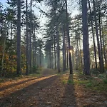 Bij Ons In Het Bos Frühstückspension 4*