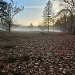 Frühstückspension Bij Ons In Het Bos