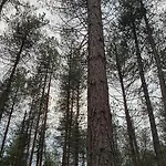 Bij Ons In Het Bos Frühstückspension 4*