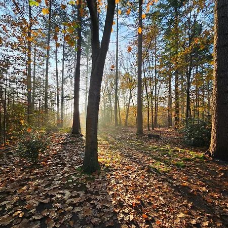 Bij Ons In Het Bos *