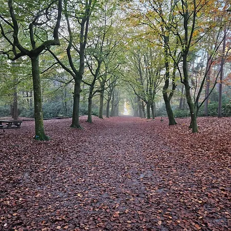 Bij Ons In Het Bos Bergen op Zoom