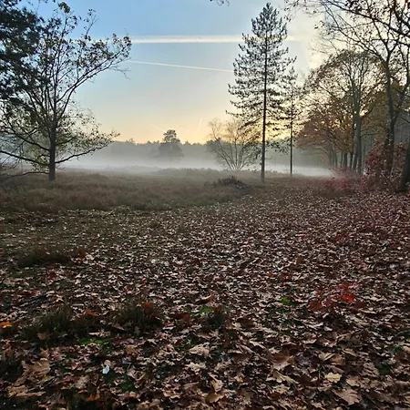 Bed & Breakfast Bij Ons In Het Bos