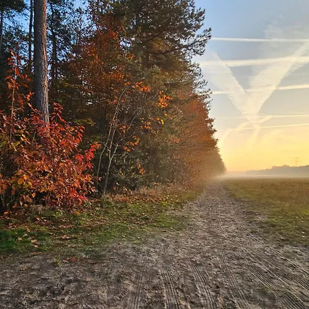 Bij Ons In Het Bos * Bergen op Zoom