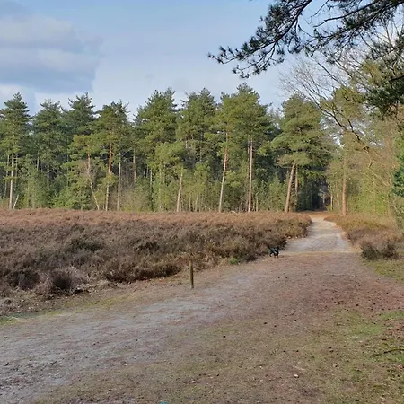 Bij Ons In Het Bos *