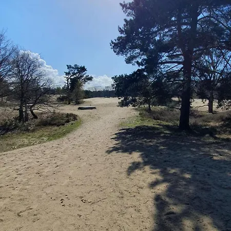 Bed & Breakfast Bij Ons In Het Bos