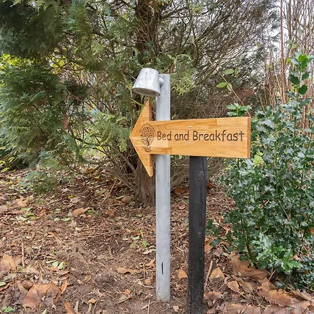 Bij Ons In Het Bos Bed and breakfast