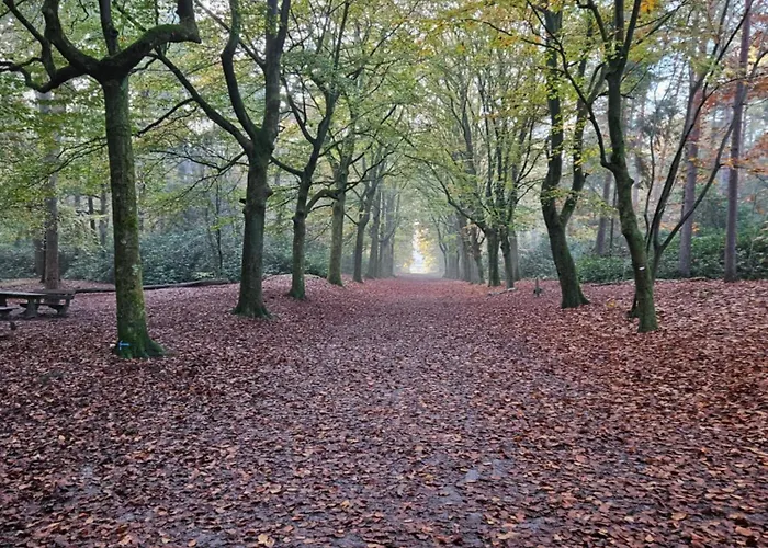 Bij Ons In Het Bos Bergen op Zoom
