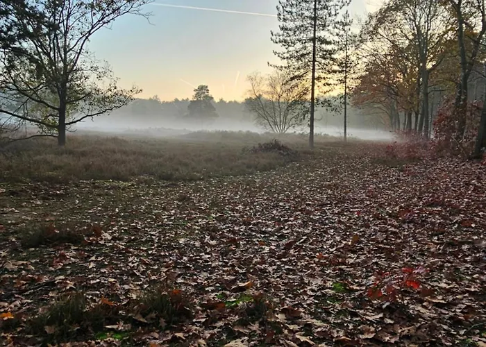 Bed and Breakfast Bij Ons In Het Bos