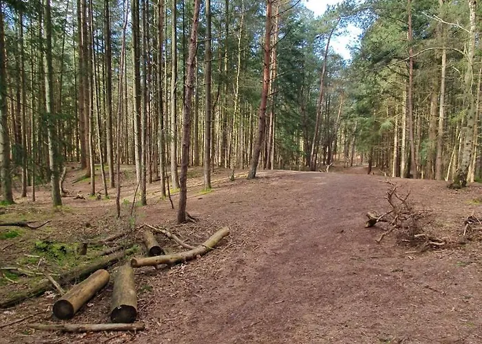 Bij Ons In Het Bos Bergen op Zoom
