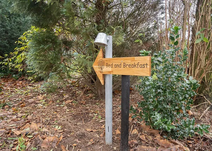 Bij Ons In Het Bos Bed and Breakfast