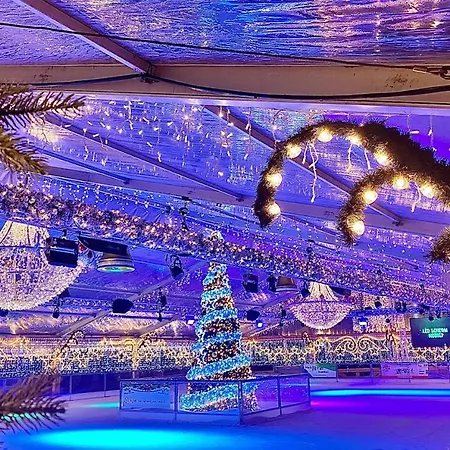 Bij Ons In Het Bos Couette-café