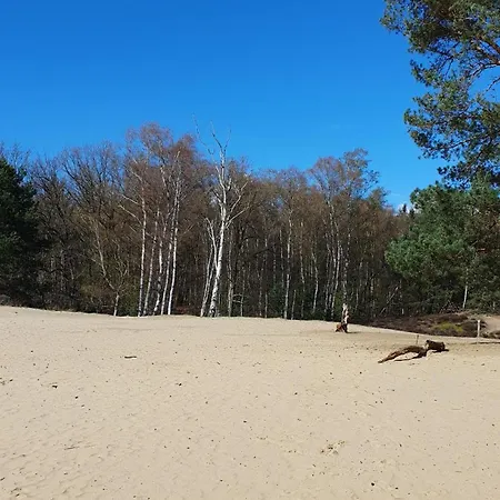 Bij Ons In Het Bos
