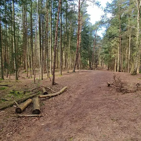 Bij Ons In Het Bos Berg-op-Zoom