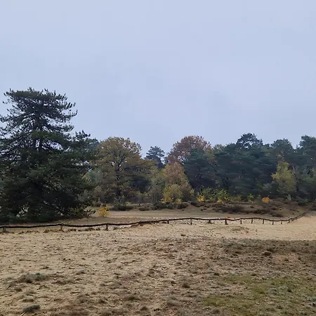 Bij Ons In Het Bos Bed & Breakfast Bergen op Zoom