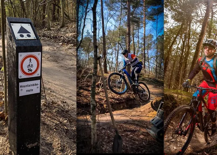 Bed & Breakfast Bij Ons In Het Bos 4*