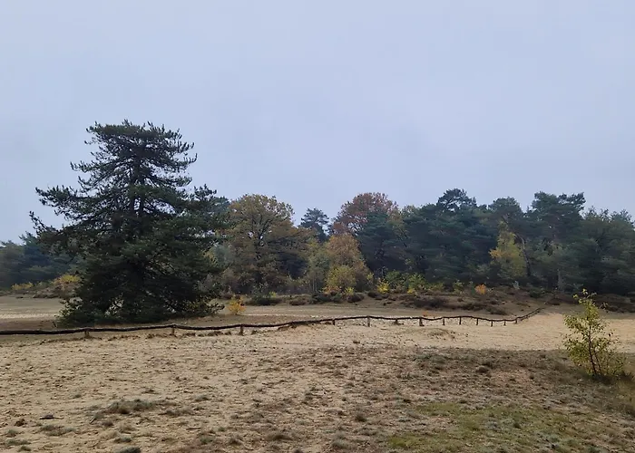 Bij Ons In Het Bos Bed & Breakfast Bergen op Zoom