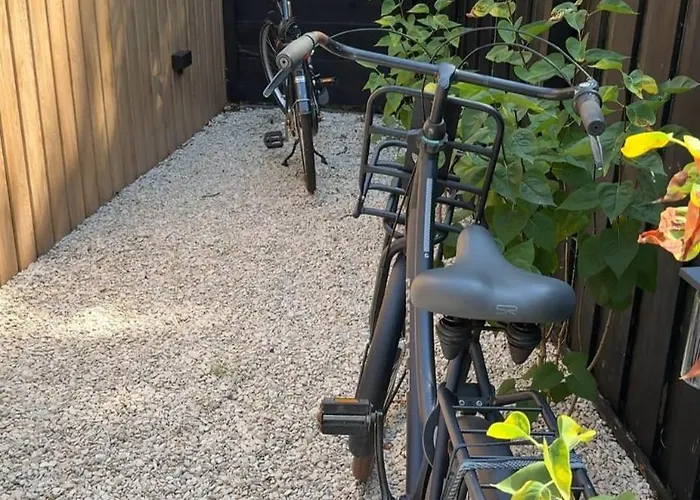 Bed & Breakfast Bij Ons In Het Bos 4*